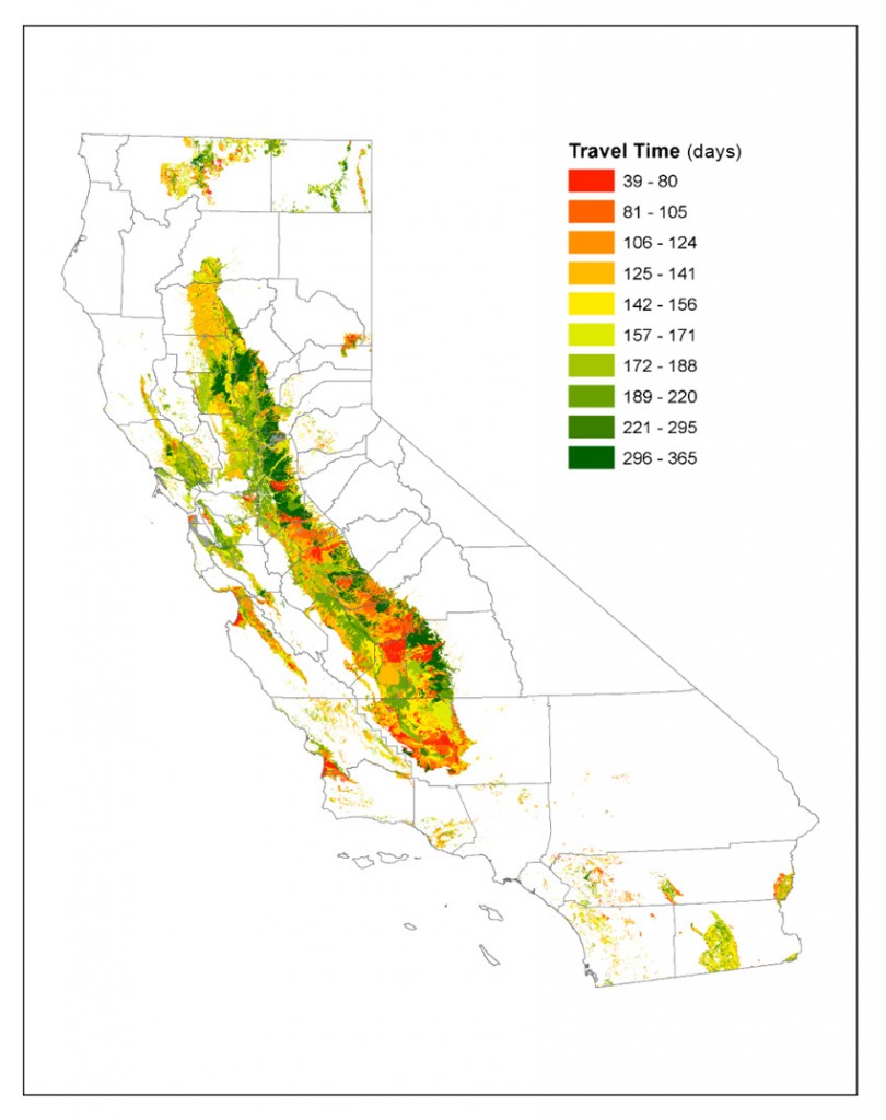 Figure 1. Spatial distribution of simulated travel times for a HYDRUS model map of nitrate leaching (50% complete).