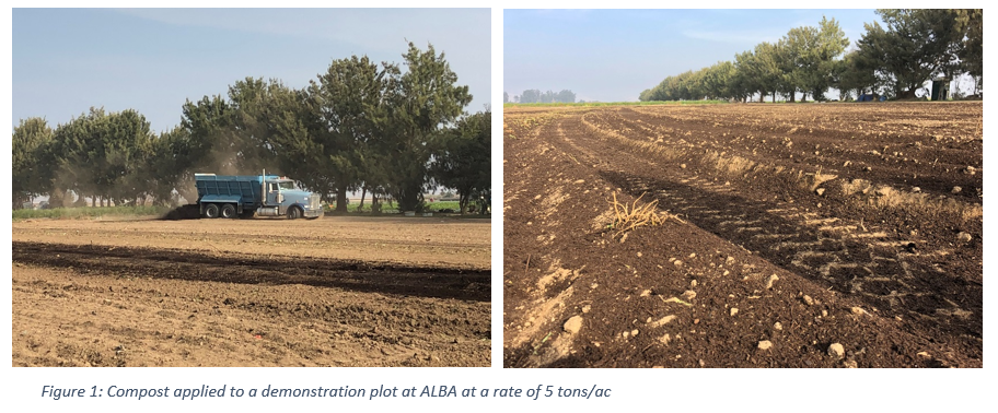 Compost applied to a demonstration plot at ALBA at a rate of 5 tons/ac. 