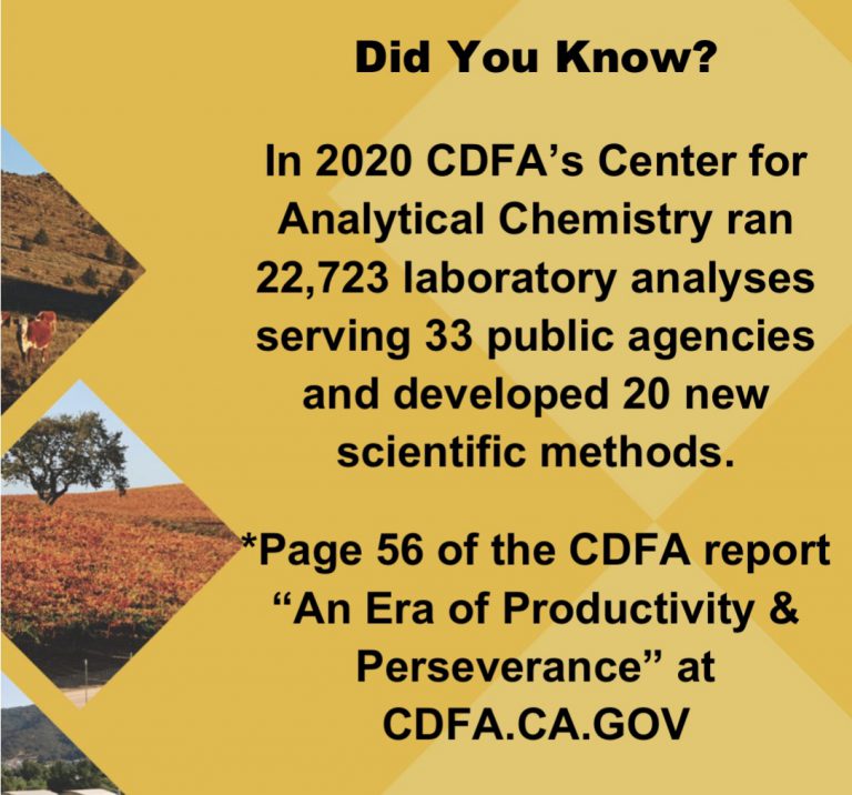 Did You Know? infographic