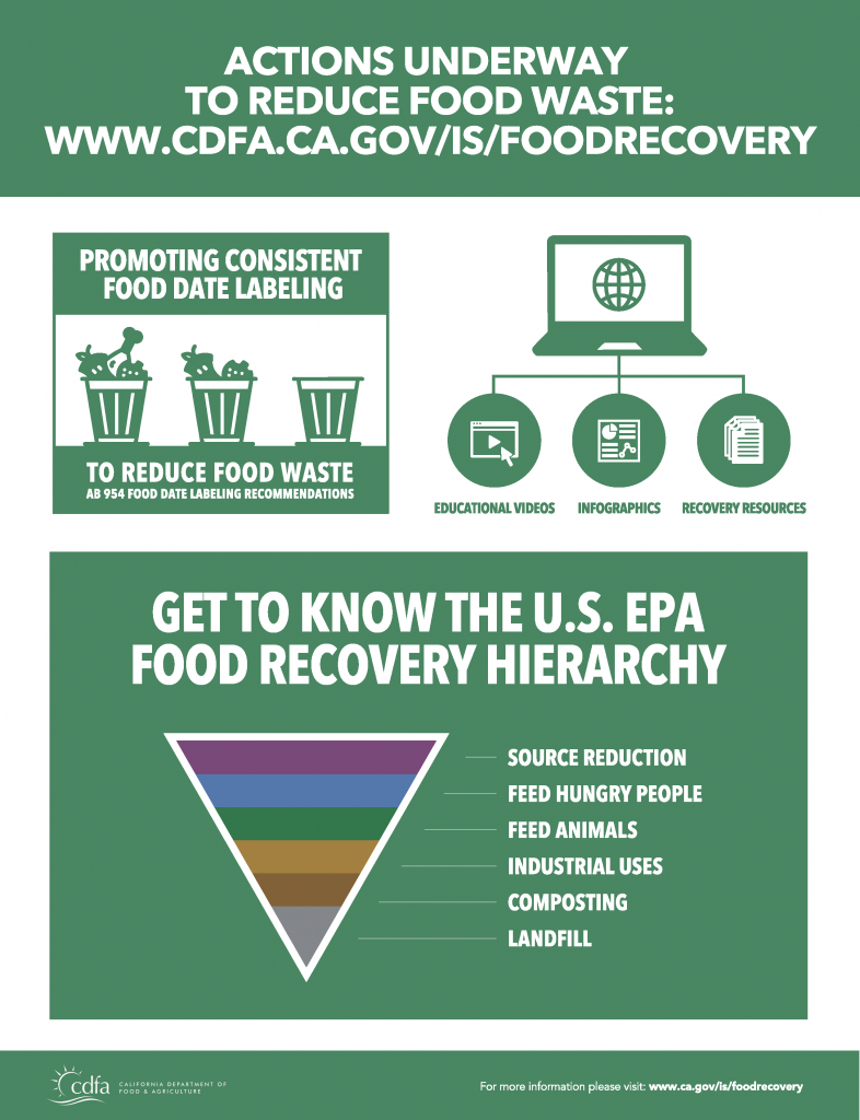 Food waste infographic