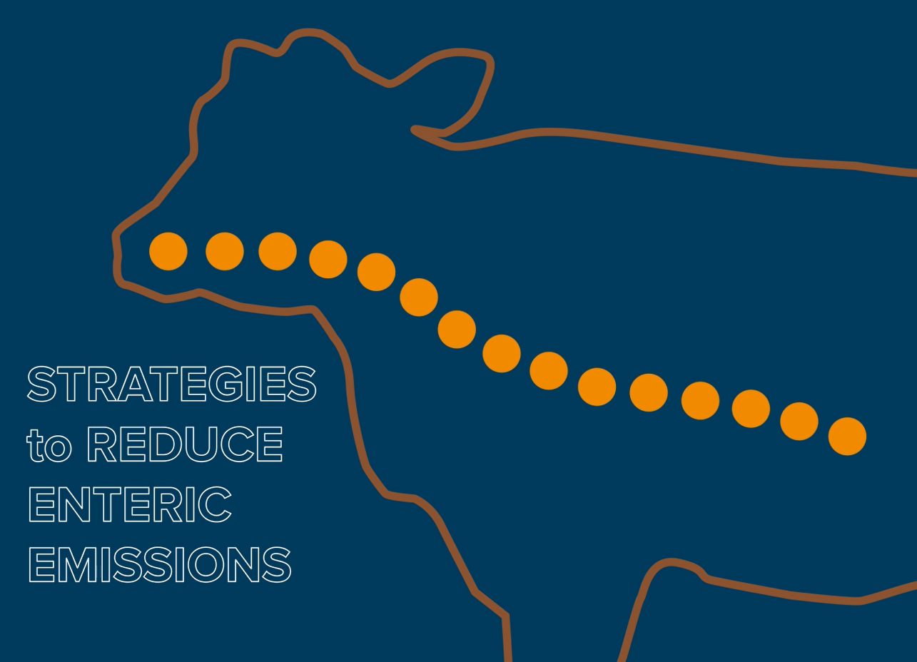 Registration open for May summit meeting on feed strategies and the reduction of methane