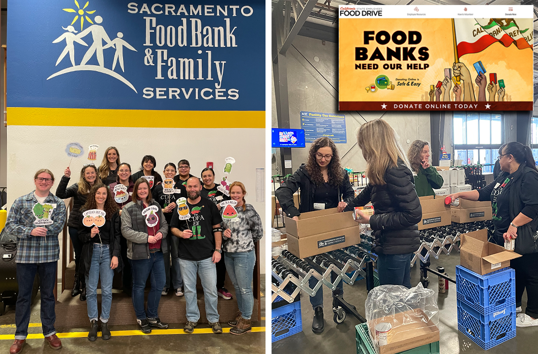 CDFA joins State Employee Food Drive effort by volunteering at food
