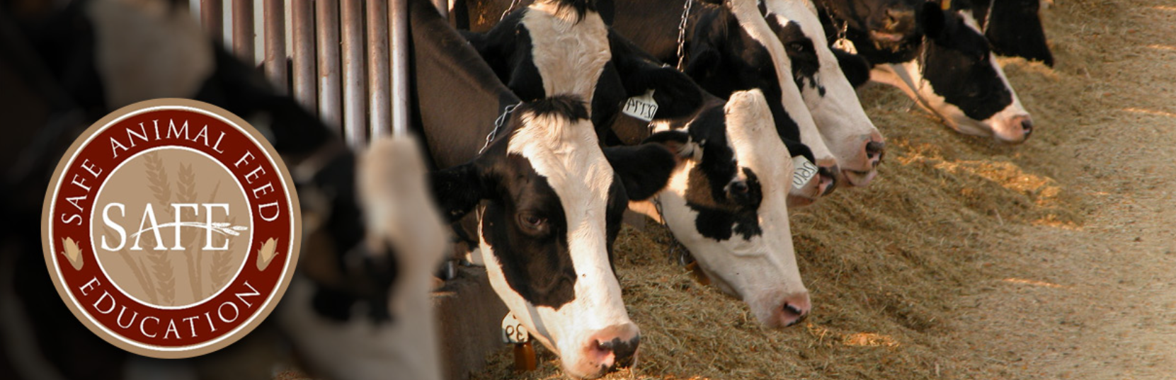 2024 SAFE Survey for Industry Now Open CDFA Commercial Feed