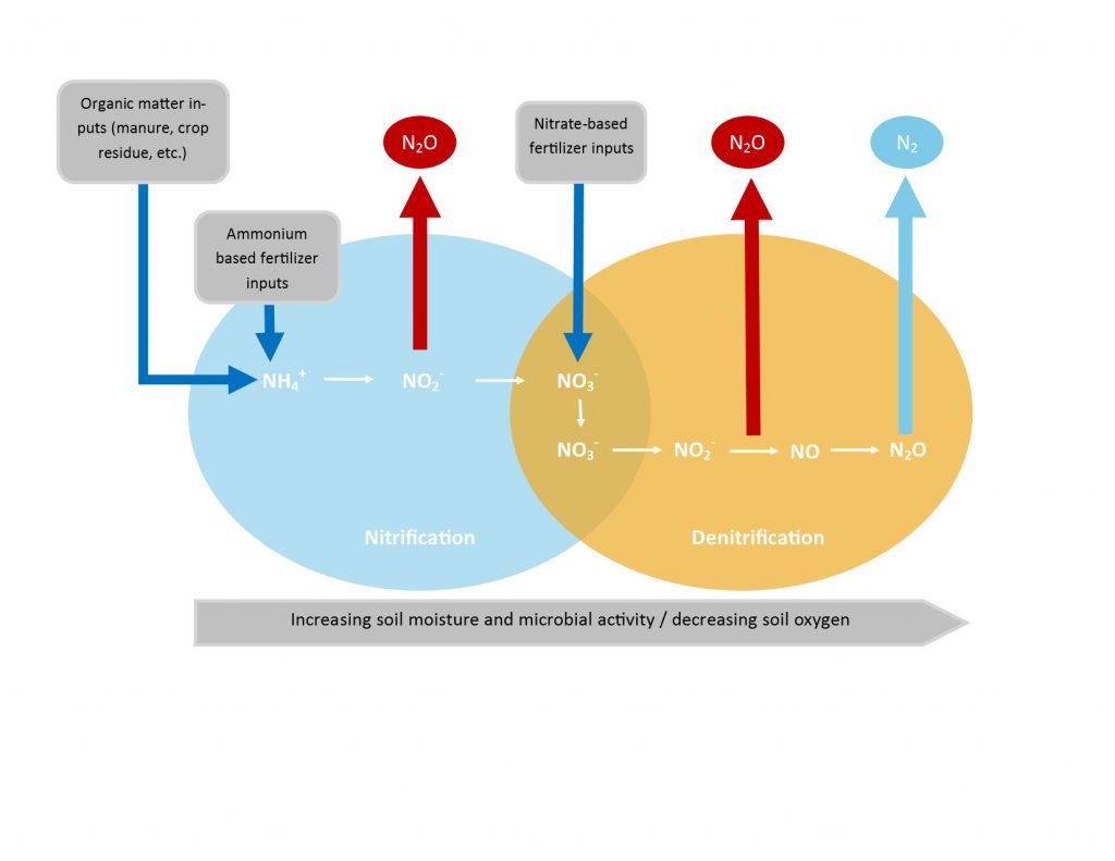 Research Update Implementing Practices to Reduce Nitrous Oxide