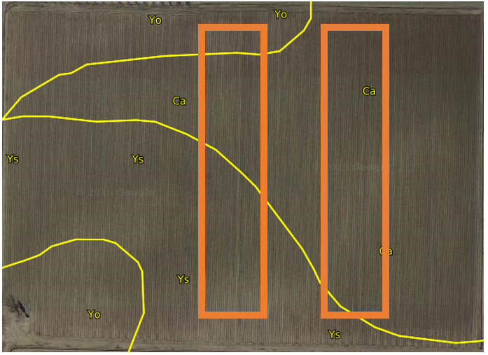 SoilWeb snapshot showing the opportunity for spatial bias with standard block design.