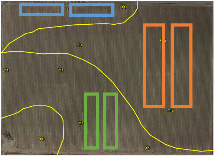 SoilWeb snapshot showing a block design intended to minimize potential for spatial bias