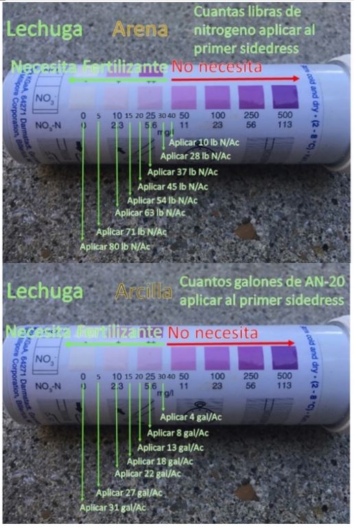 Research Update: Soil Nitrate Quick Tests to Improve Nitrogen