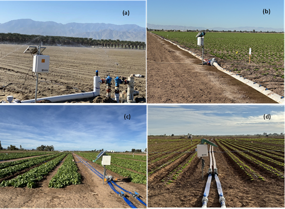 Photos of four romaine and iceberg lettuce trials in the Coachella and Imperial Valleys on 40 and 80 inch bed spacing with magnetic flowmeters and dataloggers.