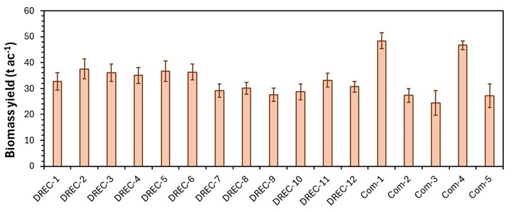 Figure showing biomass yields in different trials.
