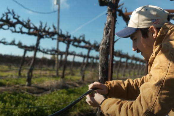 Kautz Family Farms' Success with SWEEP Grant