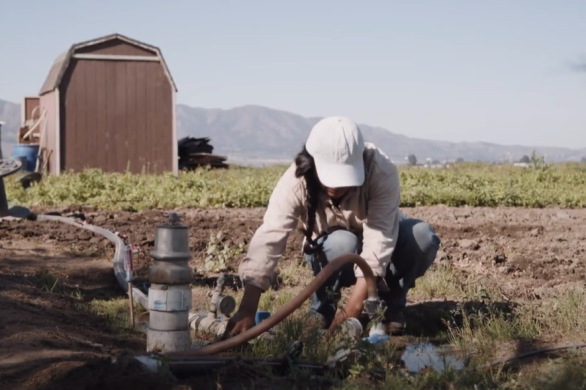 farmer Celsa Ortega shares her experience learning about the flow rate of her drip tape.