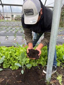 Shows the high quality of the soil – note the color, moisture and friability